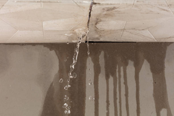 Professional Burst Pipe Cleanup technician working in Brownsdale, MN